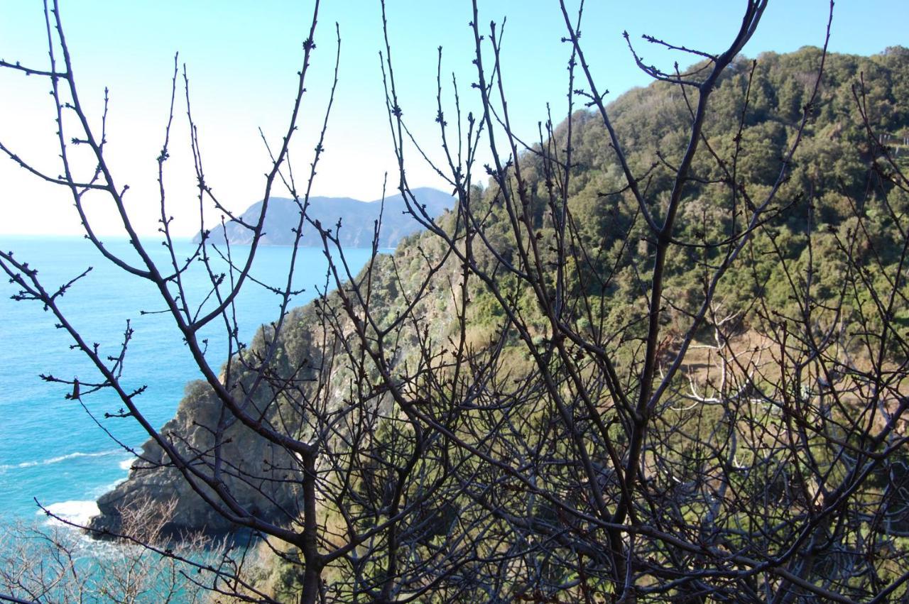 Villa Casa Duke à Corniglia Extérieur photo